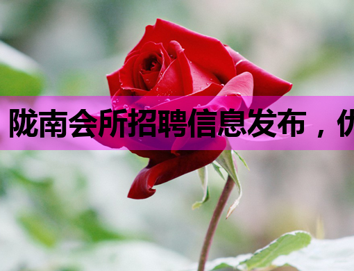 陇南会所招聘信息发布，优质岗位等你来挑战！