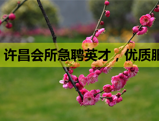 许昌会所急聘英才，优质服务等你来挑战——许昌会所招聘信息