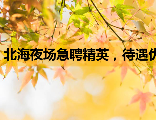 北海夜场急聘精英，待遇优厚，机不可失！