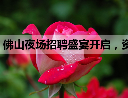 佛山夜场招聘盛宴开启，资阳夜店招聘网同步热招，鄂尔多斯KTV诚邀模特加盟