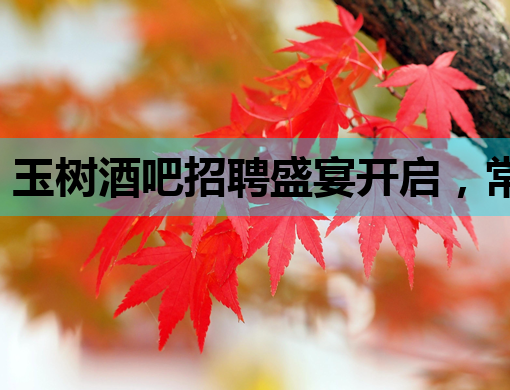 玉树酒吧招聘盛宴开启，常州攀枝花两地诚邀英才