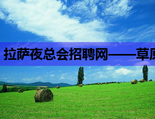 拉萨夜总会招聘网——草原星光，娱乐新篇章