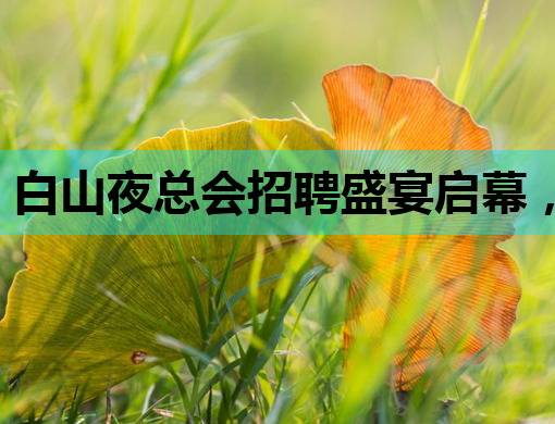 白山夜总会招聘盛宴启幕，岳阳夜店招聘网同步热招，防城港酒吧诚邀模特加盟