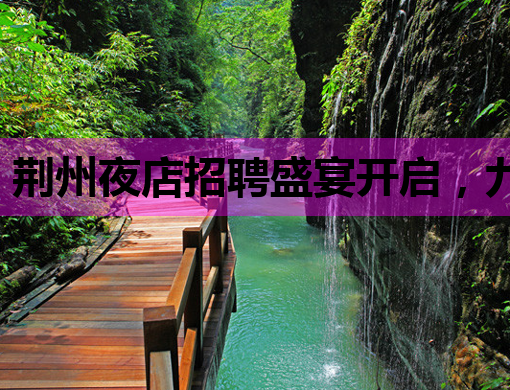 荆州夜店招聘盛宴开启，九江会所与焦作夜场同步纳新