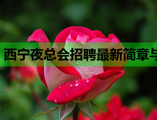 西宁夜总会招聘最新简章与职业发展指南解析