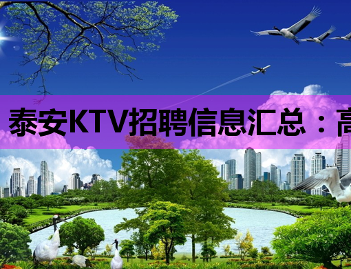 泰安KTV招聘信息汇总：高薪职位与职业发展指南