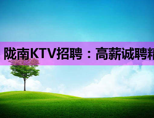 陇南KTV招聘：高薪诚聘精英，开启璀璨夜场职业生涯