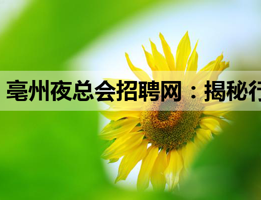 亳州夜总会招聘网：揭秘行业招聘内幕与求职指南