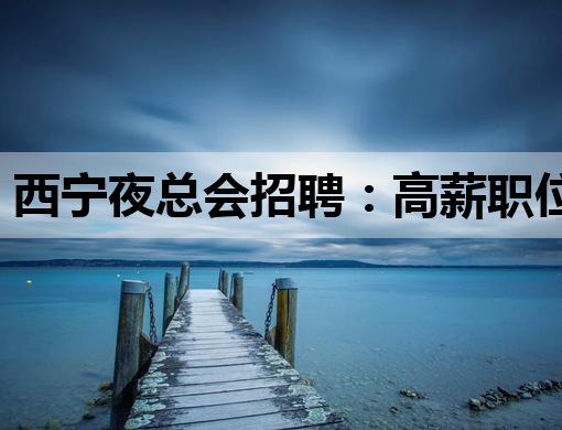 西宁夜总会招聘：高薪职位解析与求职避坑指南