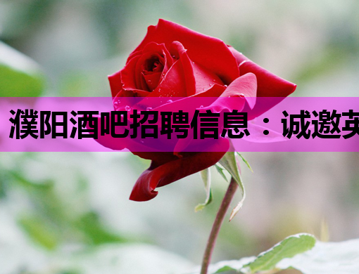 濮阳酒吧招聘信息：诚邀英才，共享夜生活魅力！