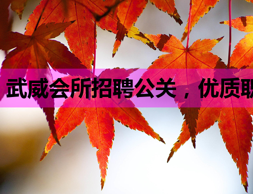 武威会所招聘公关，优质职位等你来挑战