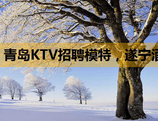 青岛KTV招聘模特，遂宁酒吧与新余夜总会也寻人才