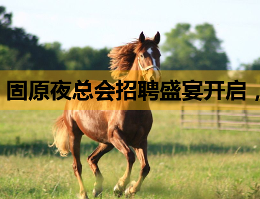 固原夜总会招聘盛宴开启，豪华阵容等你来加入！