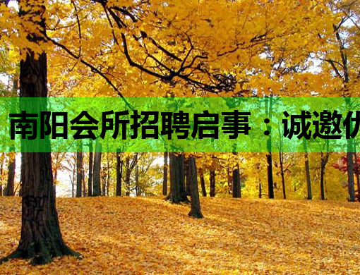 南阳会所招聘启事：诚邀优秀人才共创辉煌