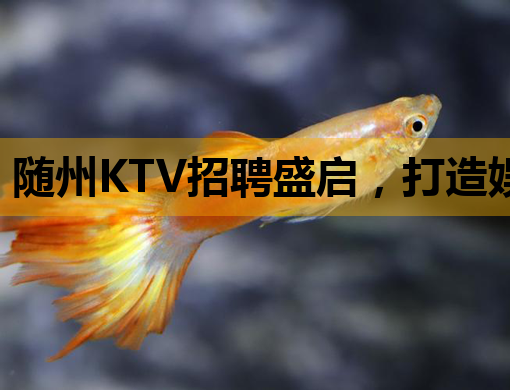 随州KTV招聘盛启，打造娱乐新风尚，驻马店夜总会、太原会所同