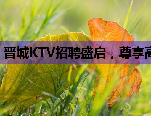 晋城KTV招聘盛启，尊享高品质夜生活工作环境