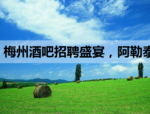 梅州酒吧招聘盛宴，阿勒泰夜场模特、怀化夜店公关职位火热出炉！