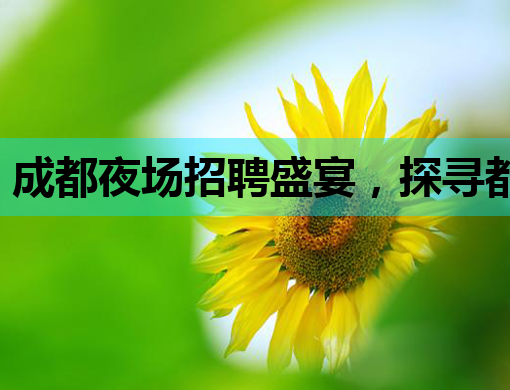 成都夜场招聘盛宴，探寻都市夜生活的璀璨星辰