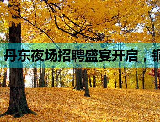 丹东夜场招聘盛宴开启，铜仁夜总会诚邀英才，定西酒吧模特新机遇