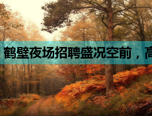 鹤壁夜场招聘盛况空前，高薪诚聘英才共创辉煌