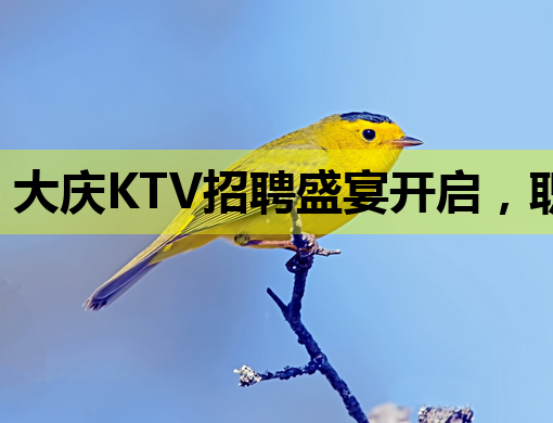 大庆KTV招聘盛宴开启，职位众多等你来挑