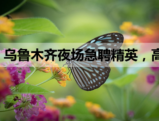 乌鲁木齐夜场急聘精英，高薪职位等你来挑战——乌鲁木齐夜场招聘