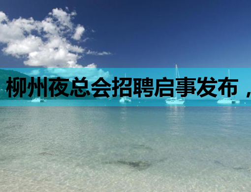 柳州夜总会招聘启事发布，优质岗位等你来挑战！