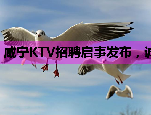 咸宁KTV招聘启事发布，诚邀优秀人才加入！