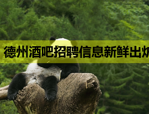 德州酒吧招聘信息新鲜出炉，高薪诚聘英才！