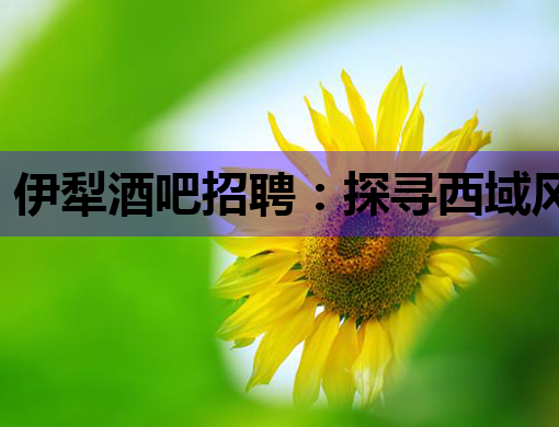 伊犁酒吧招聘：探寻西域风情下的高薪夜场机遇与职业前景