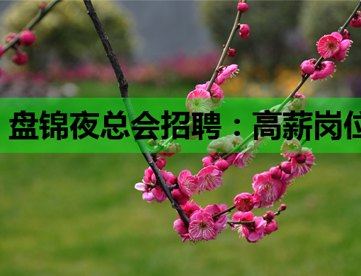 盘锦夜总会招聘：高薪岗位解析与职业发展指南