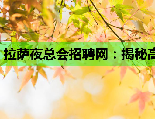 拉萨夜总会招聘网：揭秘高薪背后的行业真相与求职指南