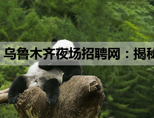 乌鲁木齐夜场招聘网：揭秘高薪背后的机遇与风险